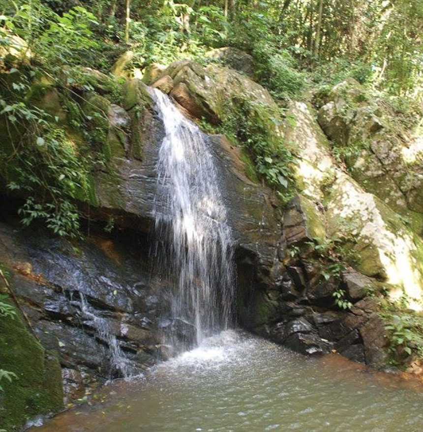 CACHOEIRA EM COTIA que quase ninguém conhece #cachoeira #cachoeiraesco